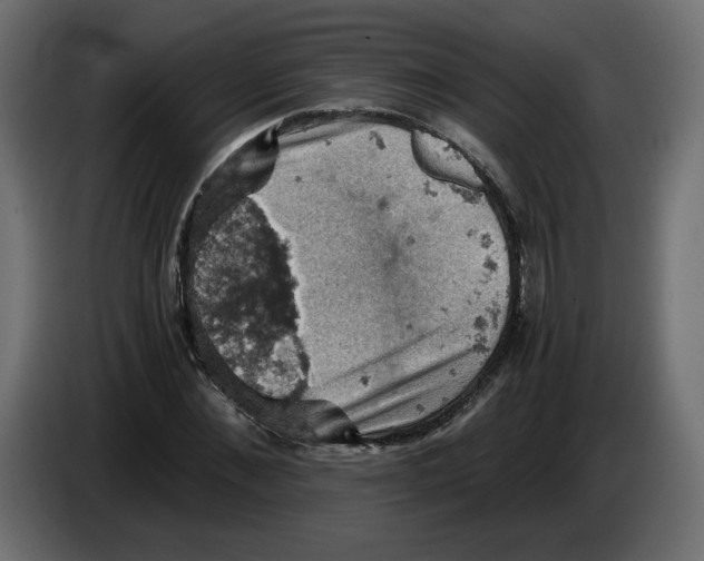 X0000084530876200703231650