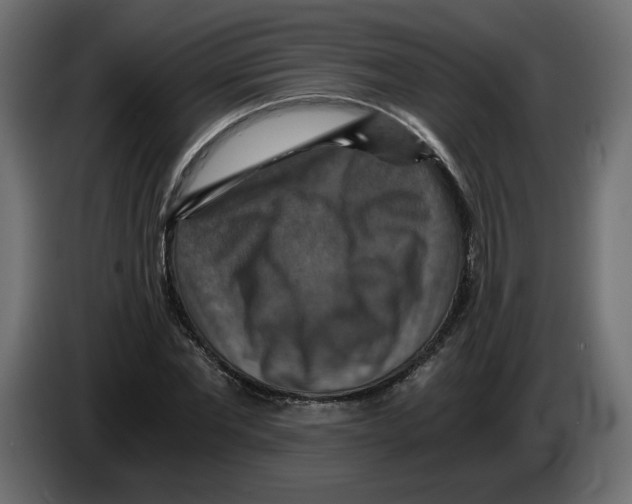 X0000084530877200703231650