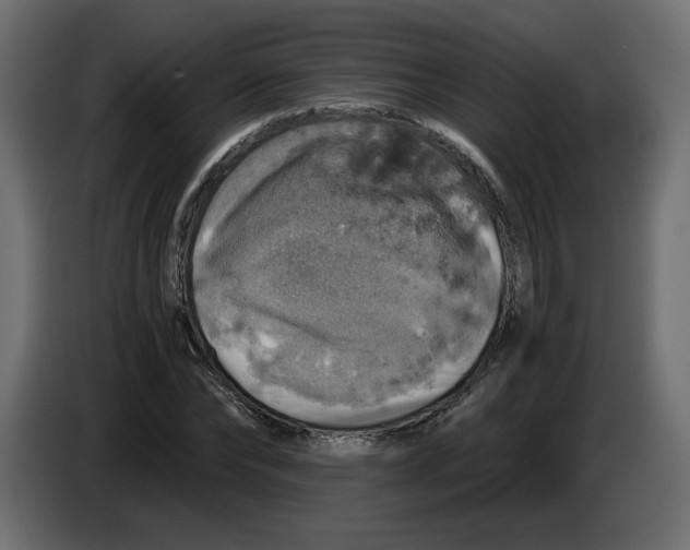 X0000084530878200703231650