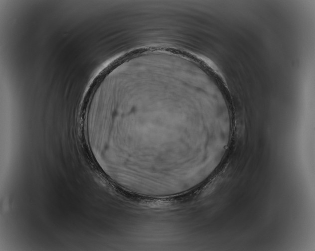 X0000084530879200703231650