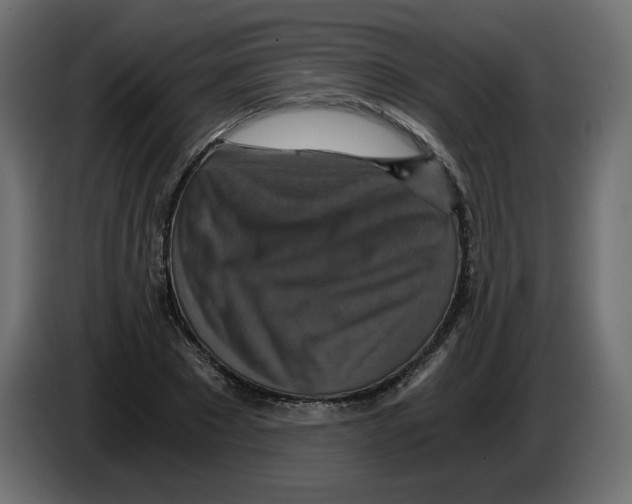 X0000084530881200703231650