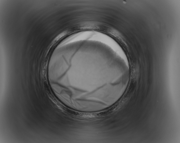 X0000084530882200703231650