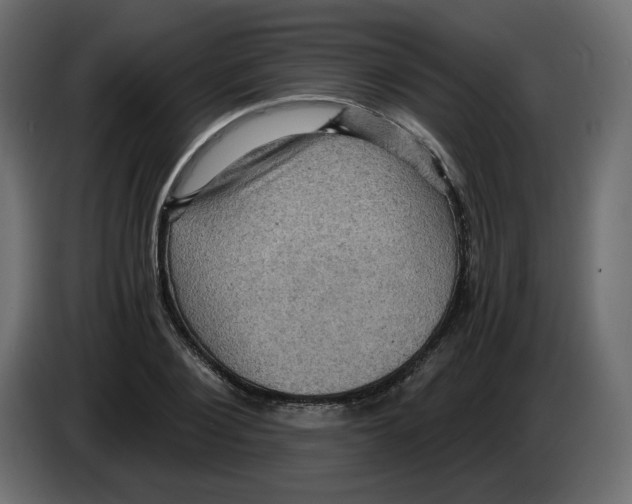 X0000084530884200703231650