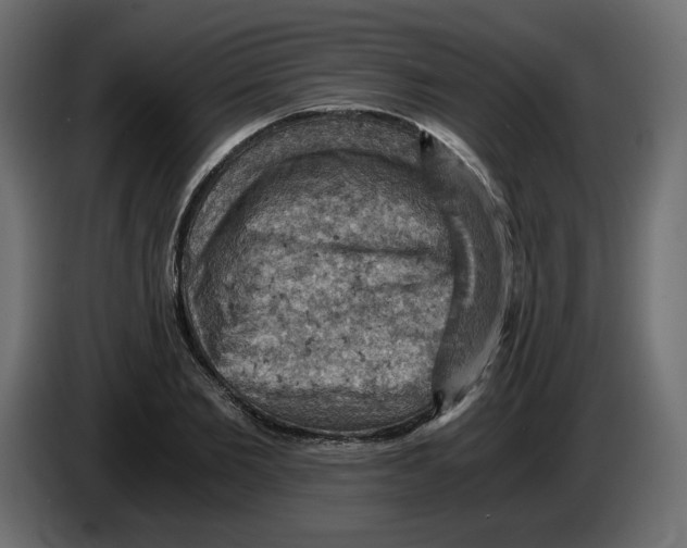 X0000084530885200703231650