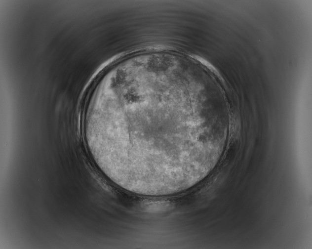 X0000084530886200703231650