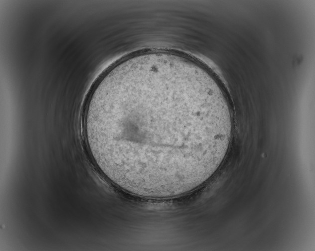 X0000084530887200703231650