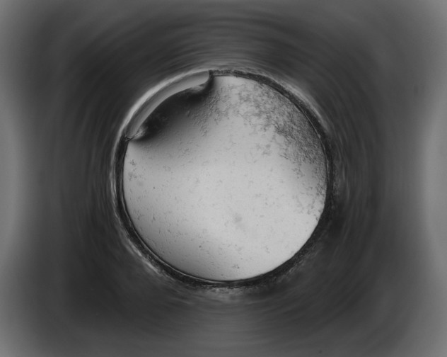 X0000084530888200703231650