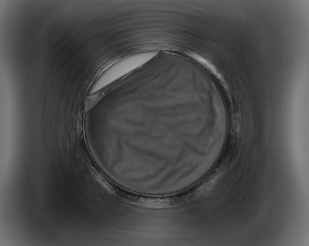 X0000084530889200703231650
