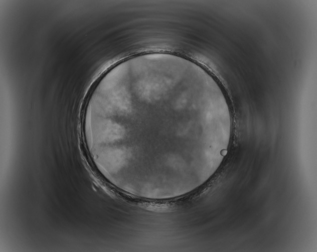 X0000084530890200703231650