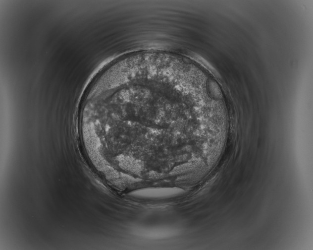 X0000084530891200703231650