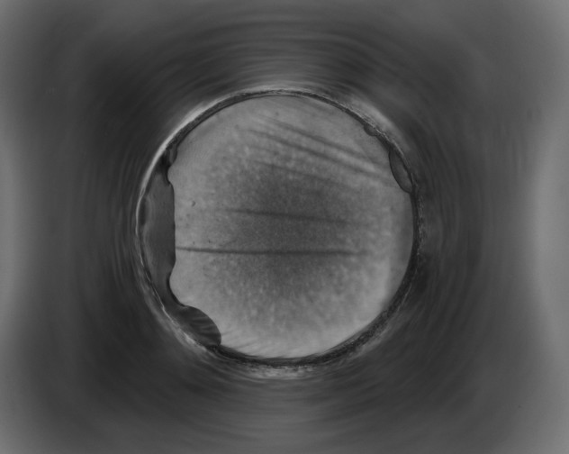 X0000084530892200703231650
