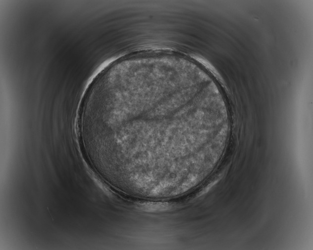 X0000084530893200703231650