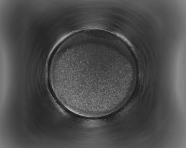 X0000084530894200703231650