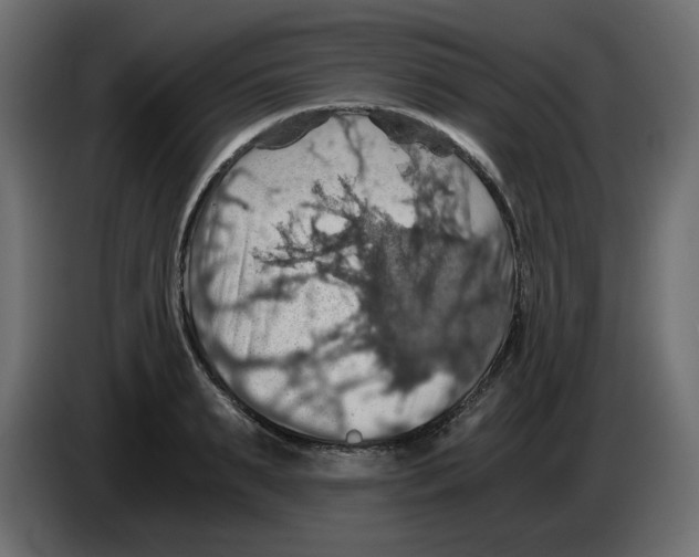 X0000084530895200703231650