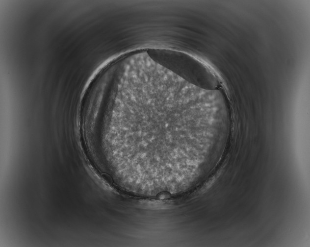 X0000084530896200703231650