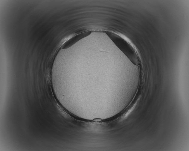 X0000084530897200703231650