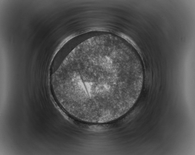 X0000084530898200703231650