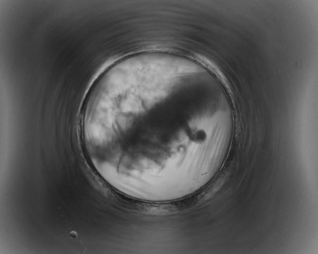 X0000084530899200703231650