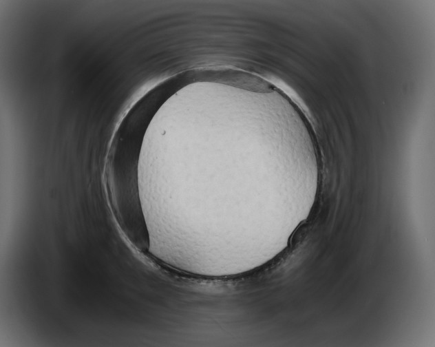 X0000084530901200703231650