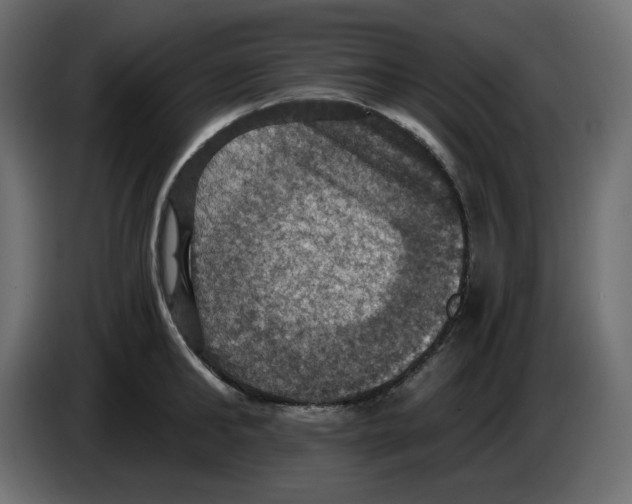 X0000084530902200703231650