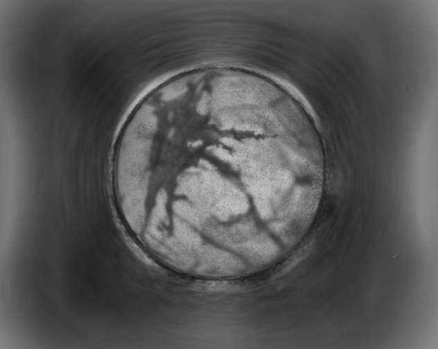 X0000084530903200703231650