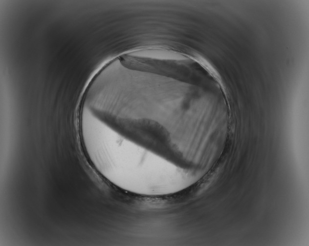 X0000084530907200703231650