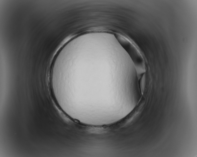X0000084530909200703231650