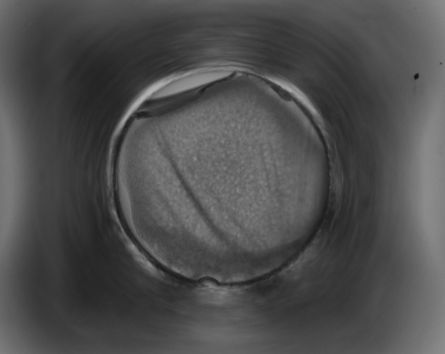 X0000084530910200703231650
