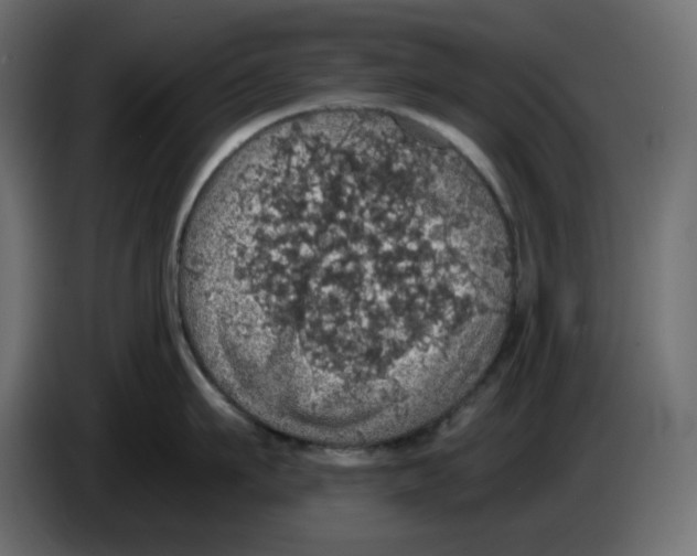 X0000084530911200703231650