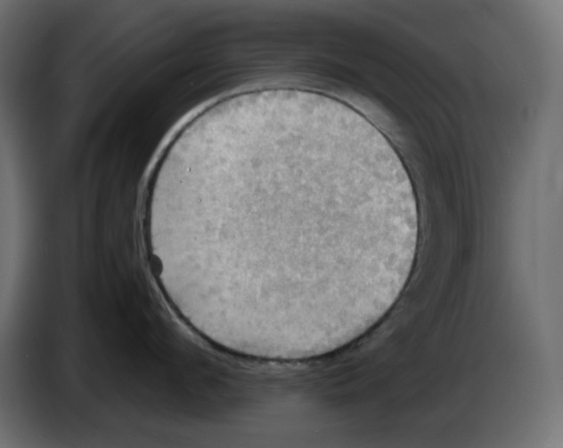 X0000084530912200703231650