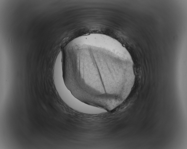 X0000084530916200703231649