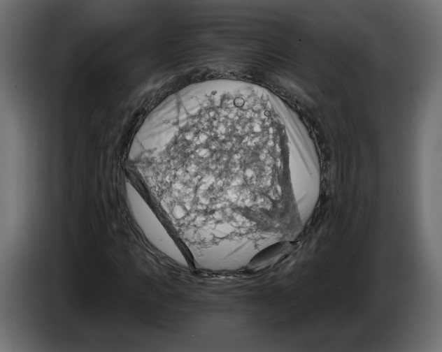 X0000084530917200703231649