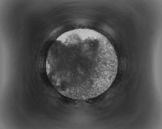 X0000084530918200703231649