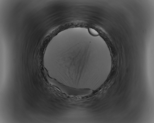 X0000084530919200703231649