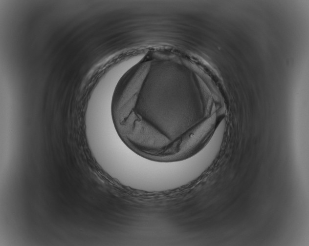 X0000084530920200703231649