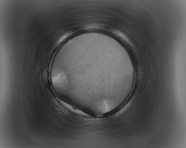X0000084530921200703231649