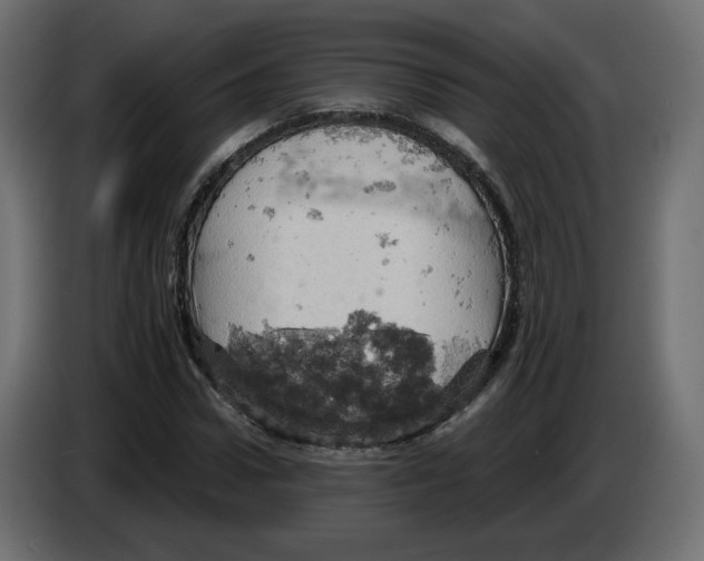X0000084530922200703231649