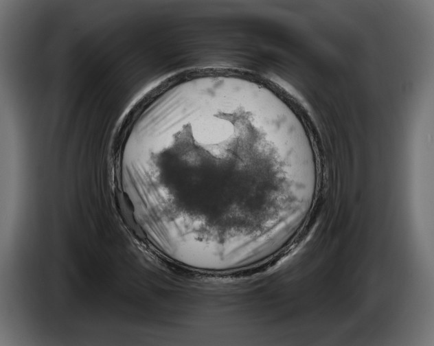 X0000084530925200703231649