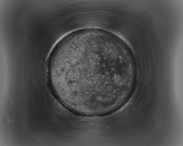 X0000084530926200703231649