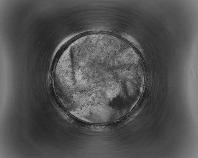 X0000084530928200703231649