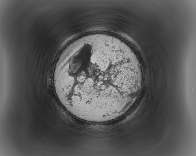 X0000084530929200703231649