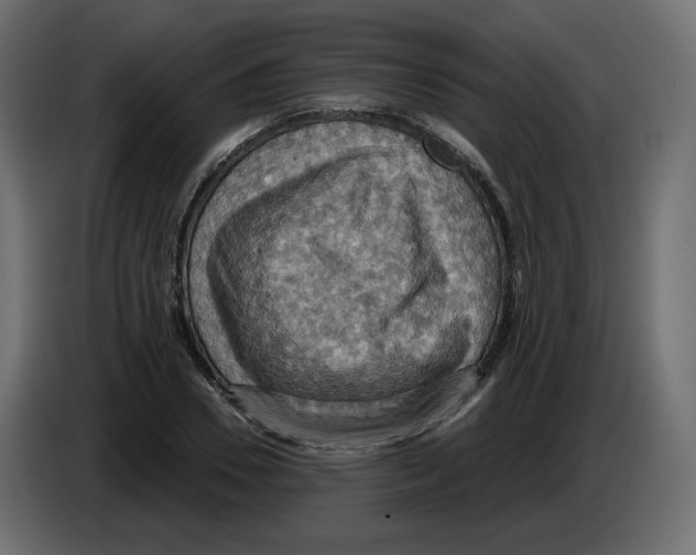 X0000084530930200703231649