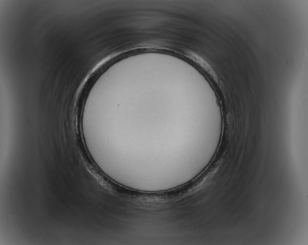 X0000084530931200703231649