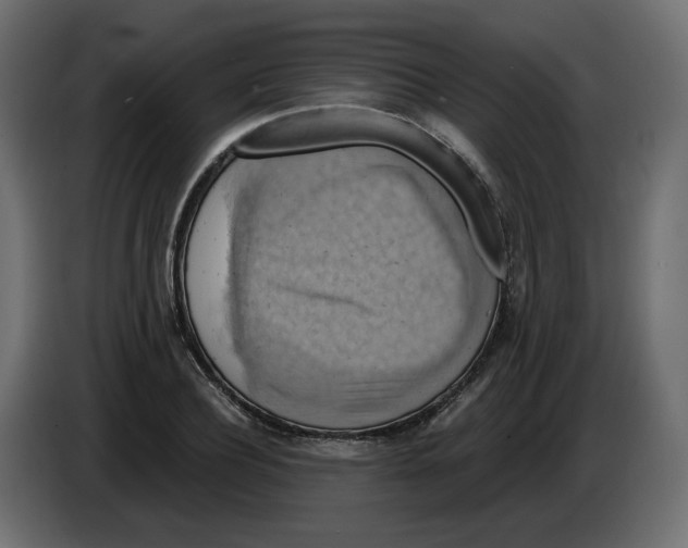 X0000084530932200703231649