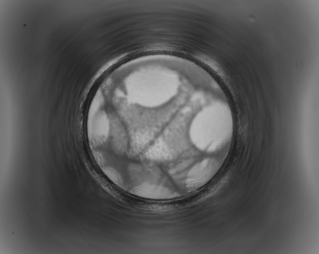 X0000084530933200703231649