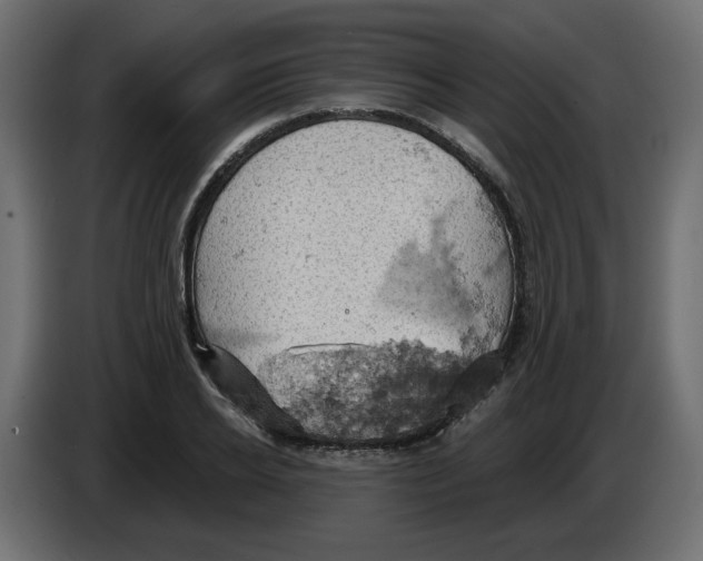 X0000084530934200703231649
