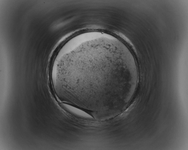 X0000084530935200703231649