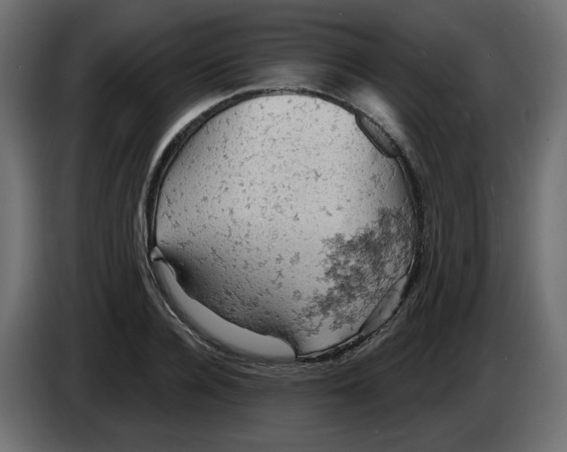 X0000084530936200703231649