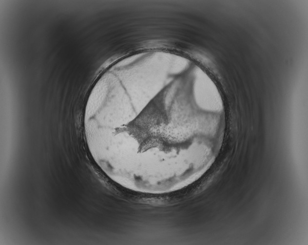 X0000084530937200703231649