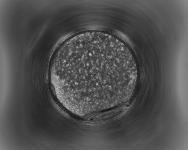 X0000084530938200703231649